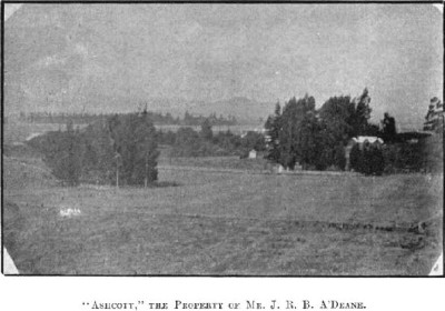 Early photo of Ashcott Station
