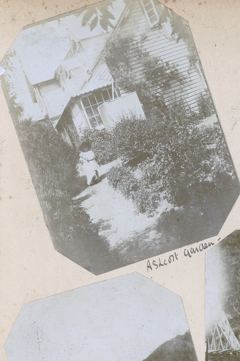 In the garden at Ashcott Homestead