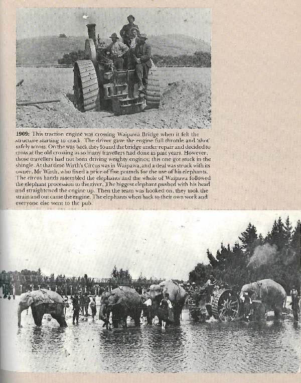 Elephants in Waipawa