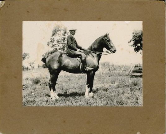 Trevor Wallace on his horse Alladin.