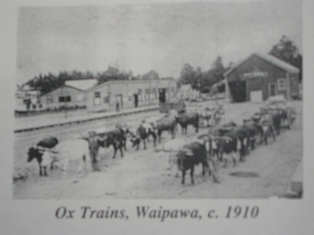 Ox Trains, Waipawa