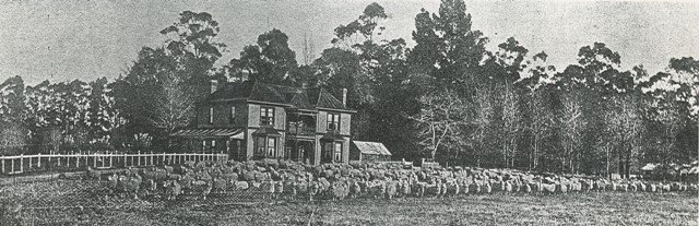 The Homestead at Hatuma, 1909