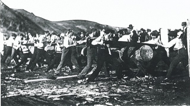 Location unknown,Possible woodchopping competition.