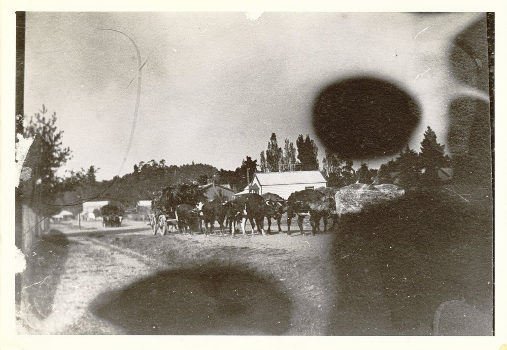 Northumberland Street,Waipukurau