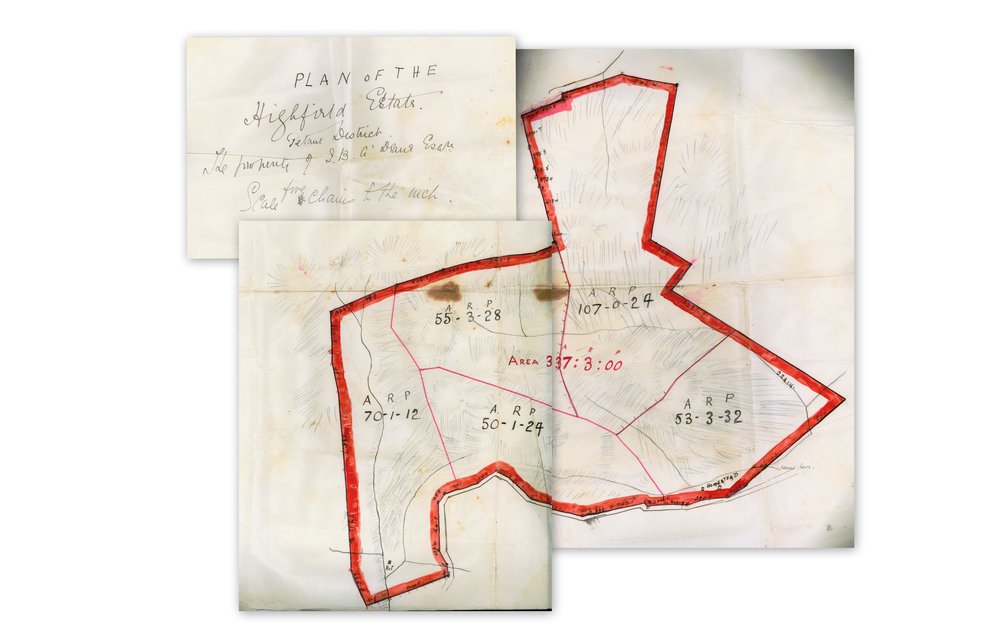 Plan of the Highfield Estate