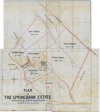 Plan of Springbank Estate