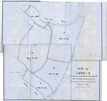 Plan of Lots between Tukituki and Tukipo Rivers