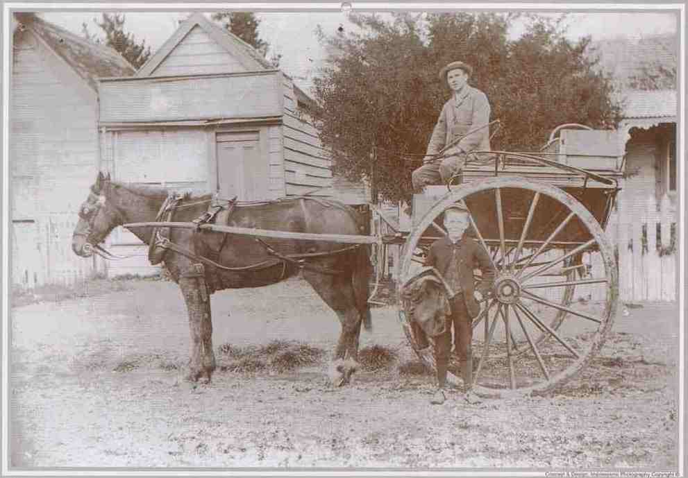 Jolly's Bakers Cart, Waipawa, 1895