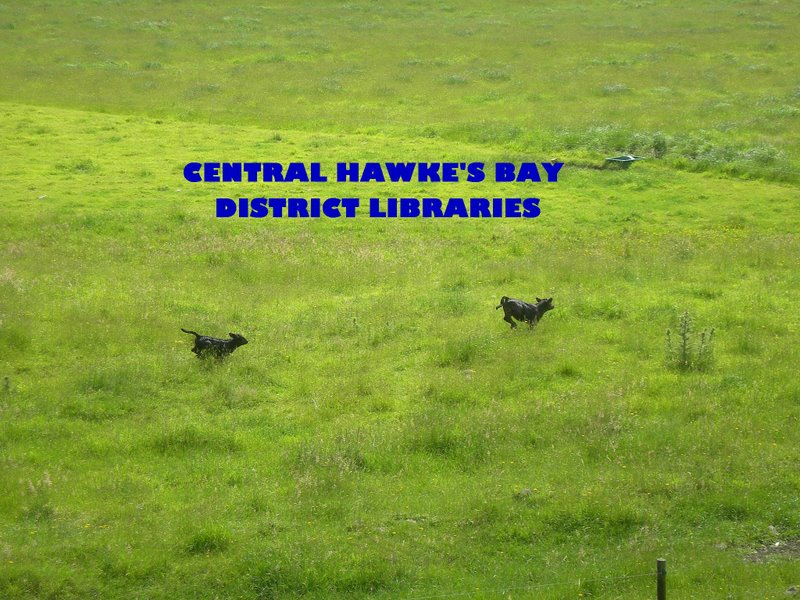 CHB District Libraries