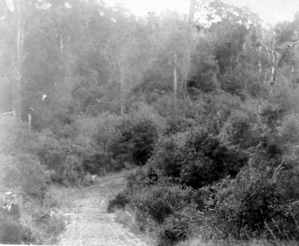 Road at Ashley Clinton