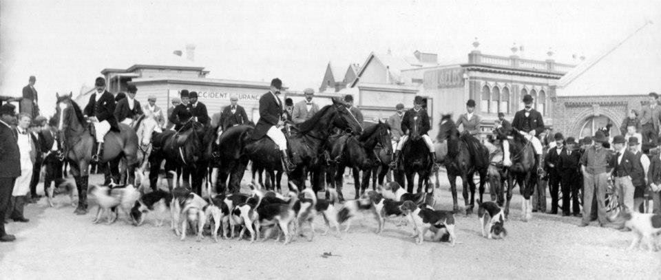 Hunt Gathering Takapau