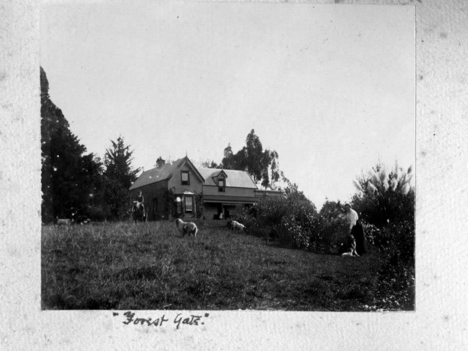 Forest Gate Homestead