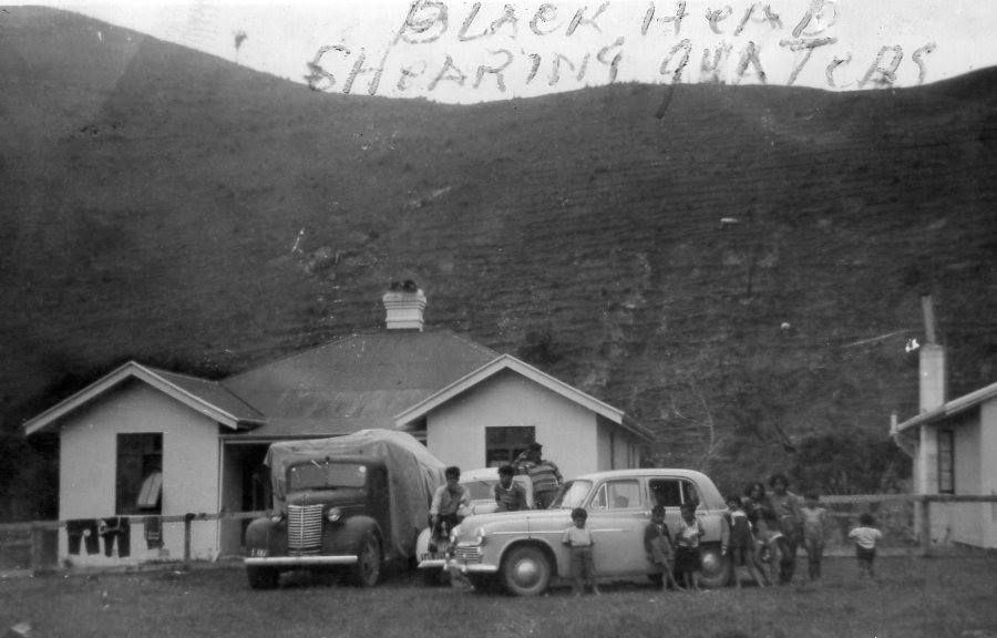 Dads Shearing Gang At Blackheads