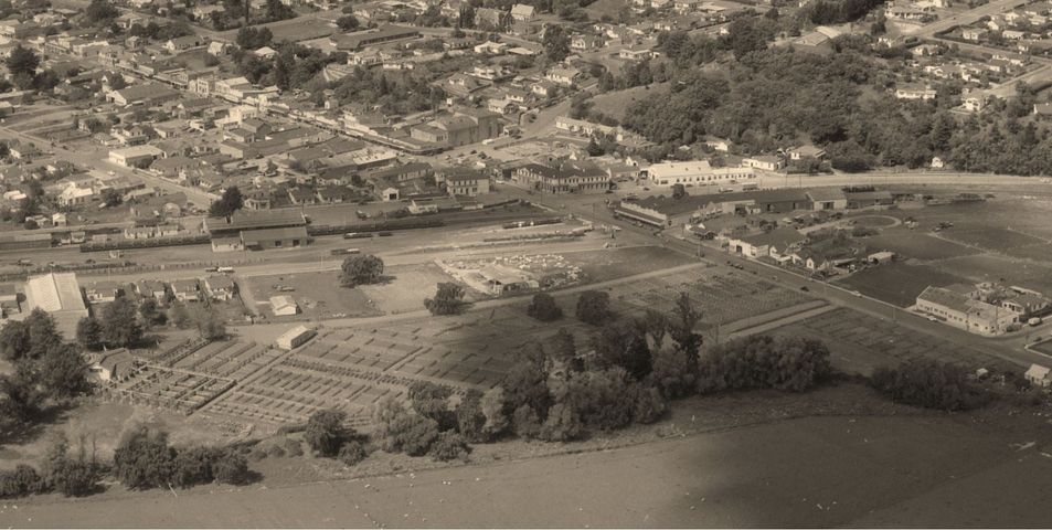 WAIPUKURAU - A BIRD'S EYE VIEW OF THE SALEYARDS - 1956 TO 1965