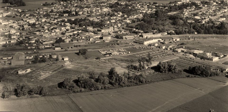 WAIPUKURAU - A BIRD'S EYE VIEW OF THE SALEYARDS - 1956 TO 1965