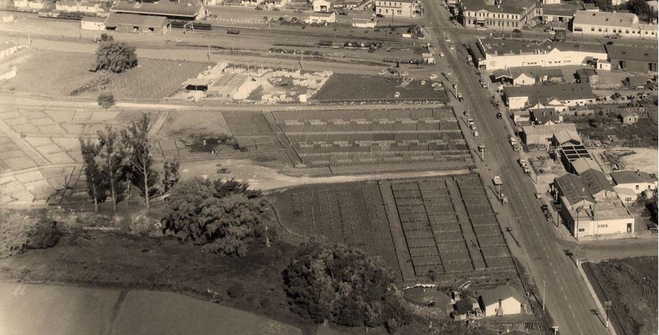 WAIPUKURAU - A BIRD'S EYE VIEW OF THE SALEYARDS - 1956 TO 1965