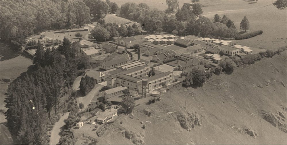 PUKEORA &ndash; VIEWS FROM BACK IN THE 50s