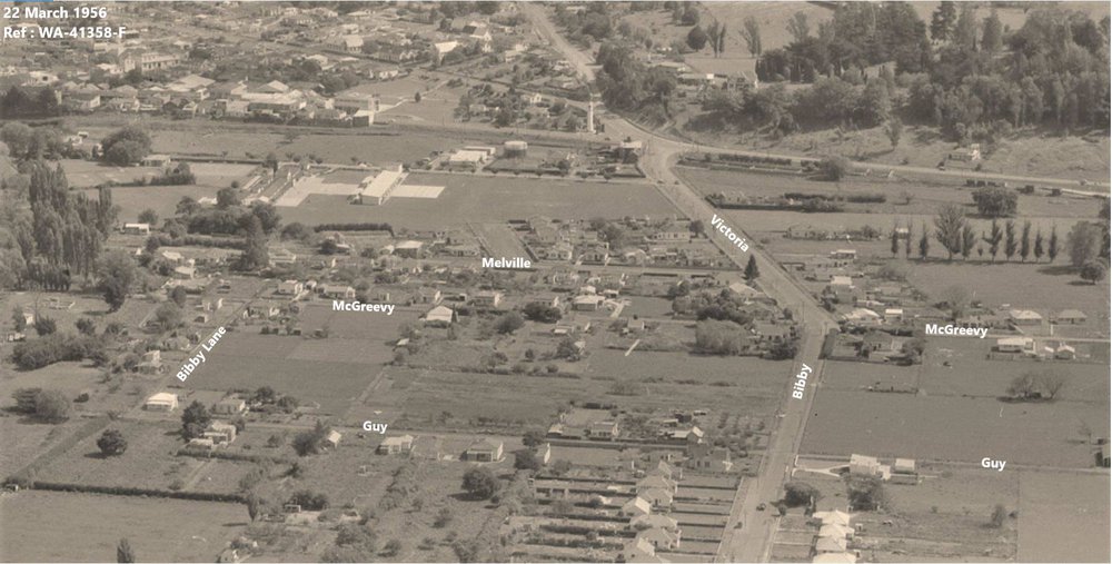 WAIPAWA BUSH - 'THE BUSH' - some views from 70-years ago