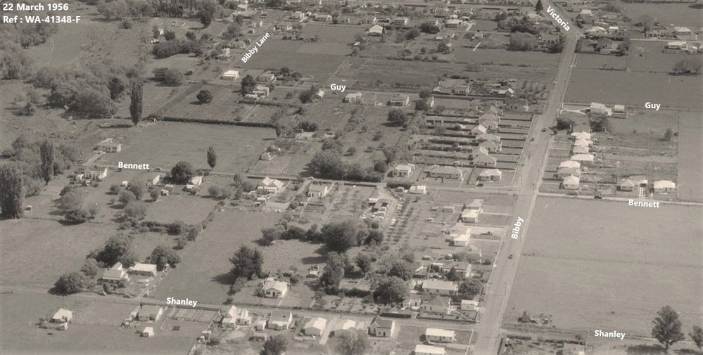 WAIPAWA BUSH - 'THE BUSH' - some views from 70-years ago