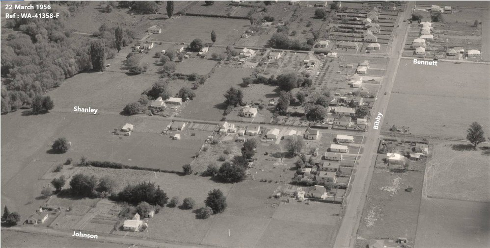 WAIPAWA BUSH - 'THE BUSH' - some views from 70-years ago