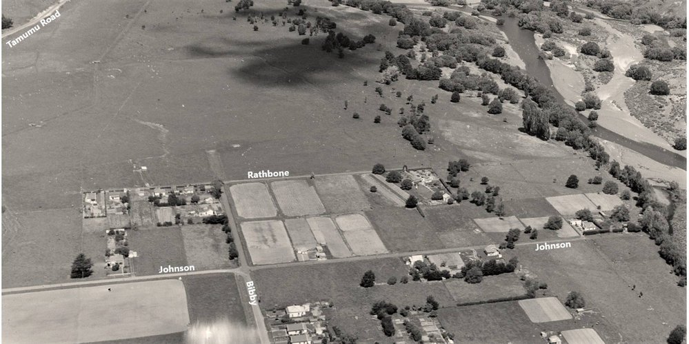 WAIPAWA BUSH - 'THE BUSH' - some views from 70-years ago