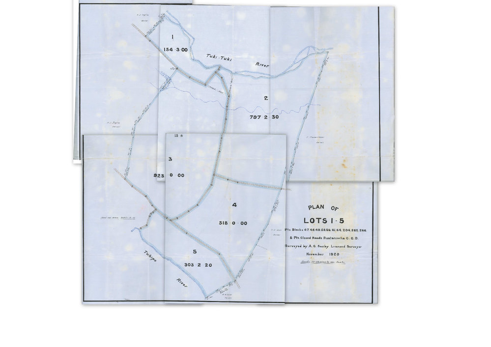 Plan of Lots between Tukituki and Tukipo Rivers