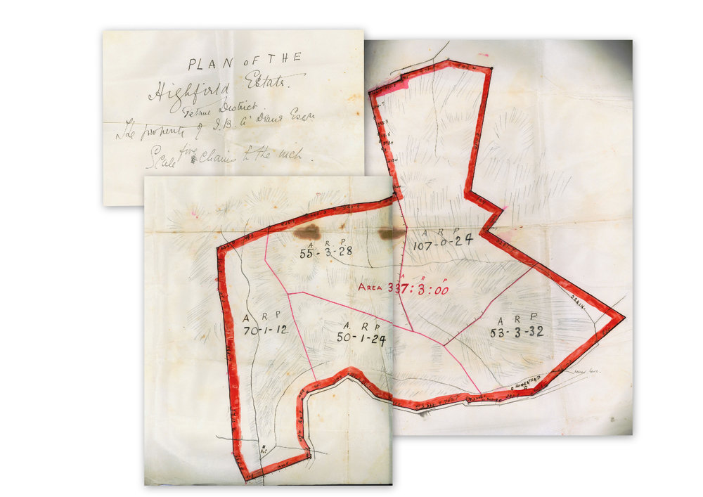 Plan of the Highfield Estate
