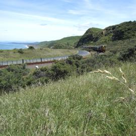 Vintage diesel train at Black's Beach, northern Hawke's Bay, 2009