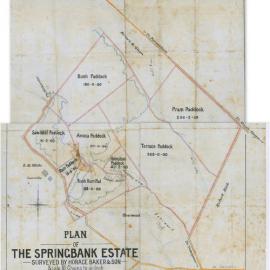Plan of Springbank Estate