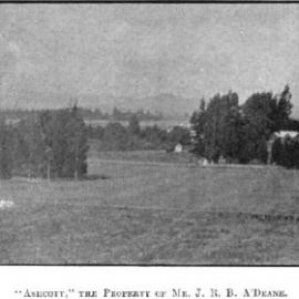 Early photo of Ashcott Station