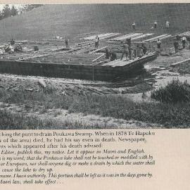 Poukawa Swamp