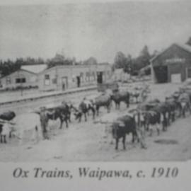 Ox Trains, Waipawa
