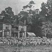 The Homestead at Hatuma, 1909
