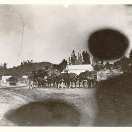 Northumberland Street,Waipukurau