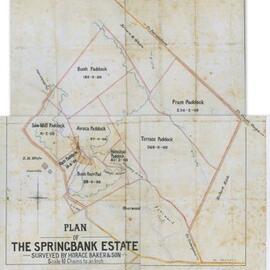 Plan of Springbank Estate