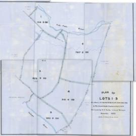 Plan of Lots between Tukituki and Tukipo Rivers