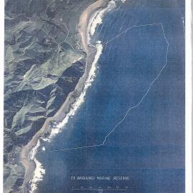 Te Angiangi Marine Reserve