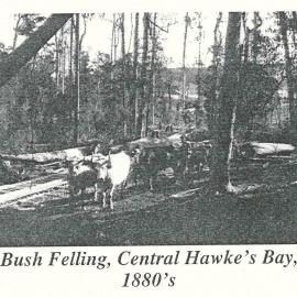 Bush Felling, Central Hawke's Bay, 1880's