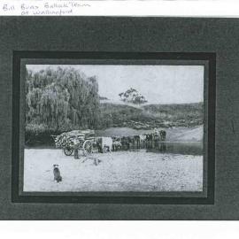 Bill Bird's Bullock Team Wallingford - Image # 2