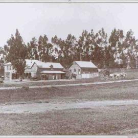 Tavistock Hotel 1890's Porangahau coach in the foreground