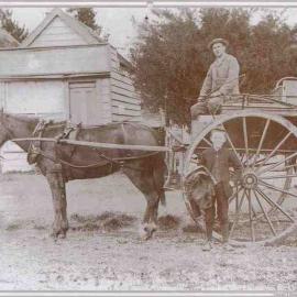 Jolly's Bakers Cart, Waipawa, 1895