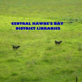 CHB District Libraries