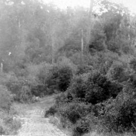 Road at Ashley Clinton