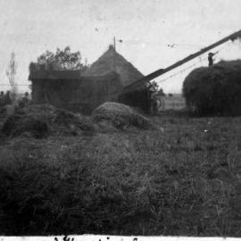 Haymaking at Ashcott