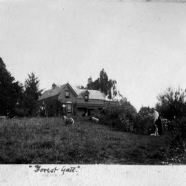 Forest Gate Homestead