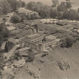 PUKEORA – VIEWS FROM BACK IN THE 50s