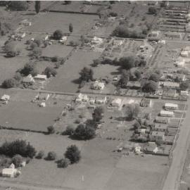 WAIPAWA BUSH - 'THE BUSH' - some views from 70-years ago